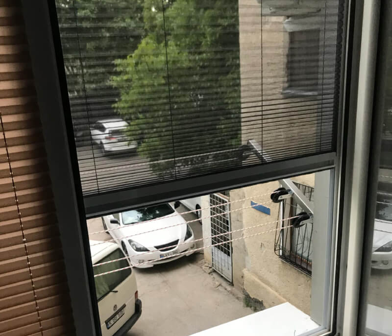 Instalare plasă antițințari